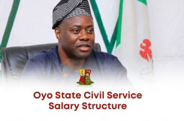 How Much is Level 8 Salary in Oyo State
