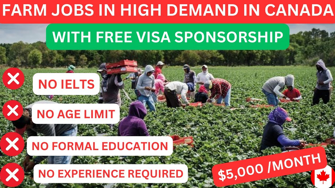 Farm Workers Jobs in Canada 2025