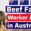 Beef Farm Worker Jobs in Australia 2026