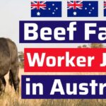 Beef Farm Worker Jobs in Australia 2026