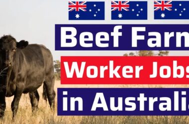 Beef Farm Worker Jobs in Australia 2026