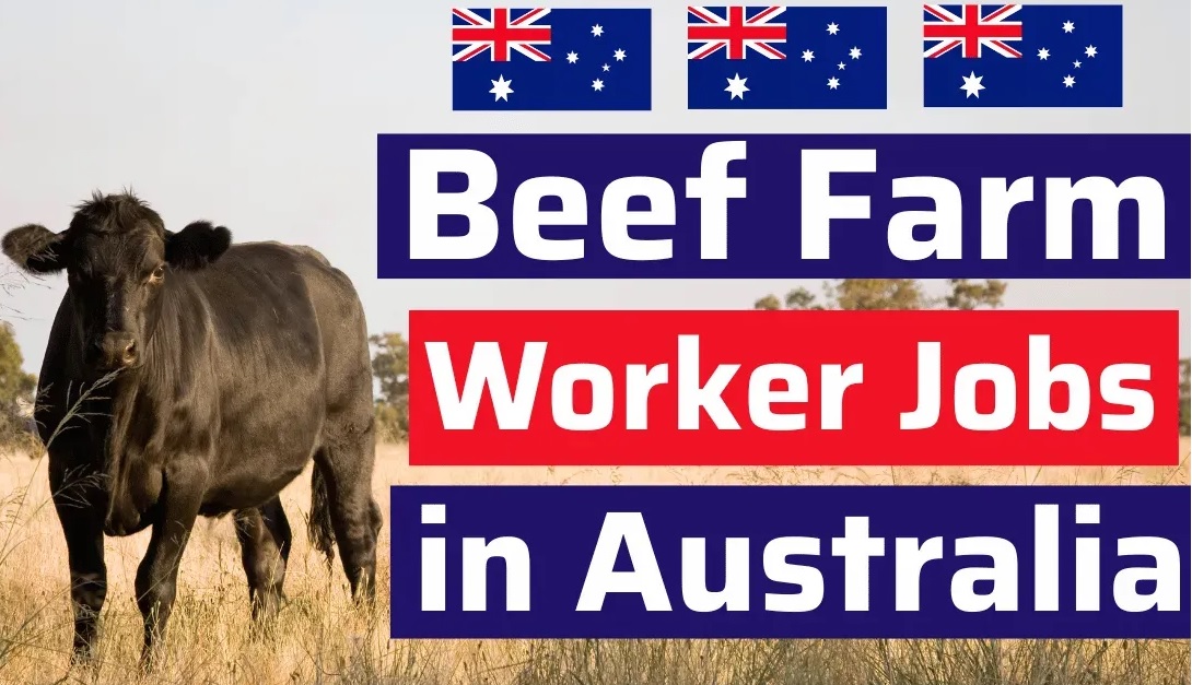 Beef Farm Worker Jobs in Australia 2026