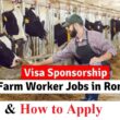 Cow Farm Worker Jobs