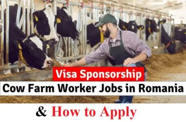 Cow Farm Worker Jobs