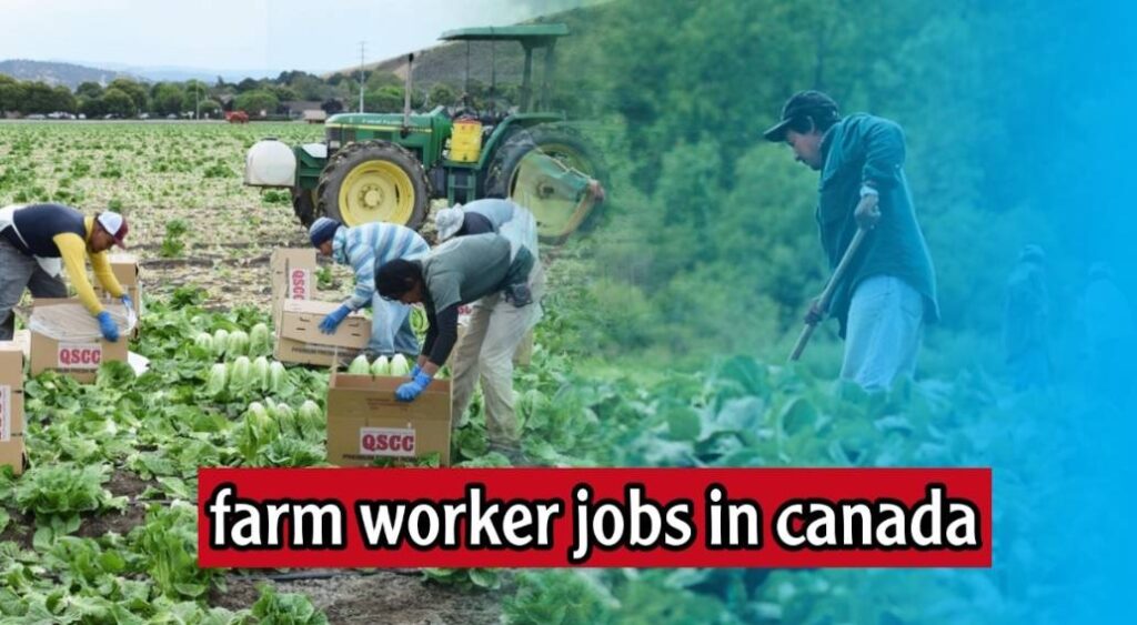Farm Workers Jobs in Canada