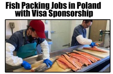 Fish packing jobs in Poland