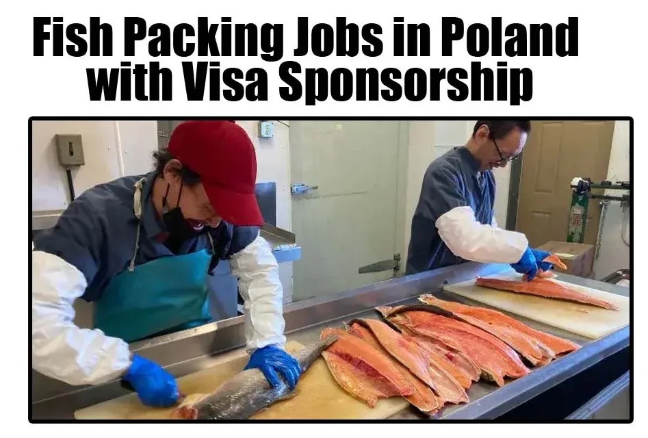 Fish packing jobs in Poland