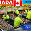 Packaging Jobs in Canada 2026