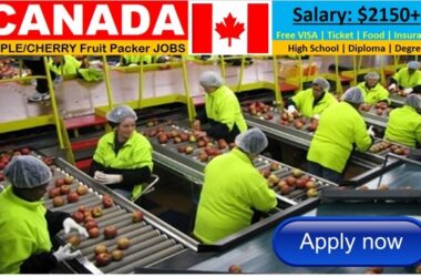 Packaging Jobs in Canada 2026