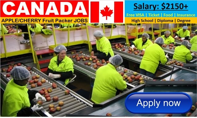 Packaging Jobs in Canada 2026