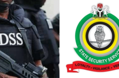 DSS Recruitment 2025